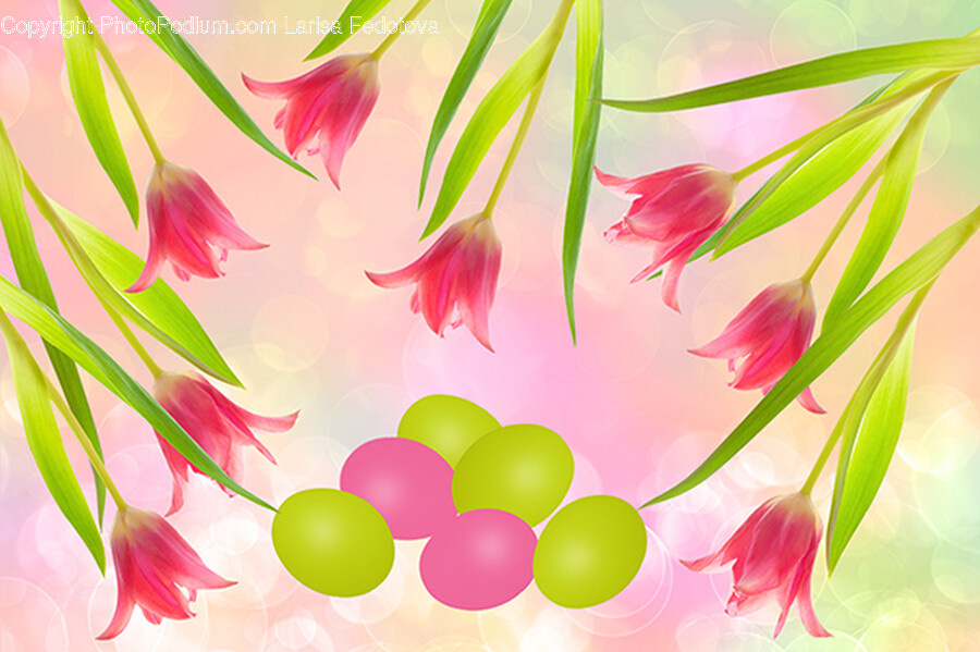 Graphics, Art, Floral Design, Pattern, Spring