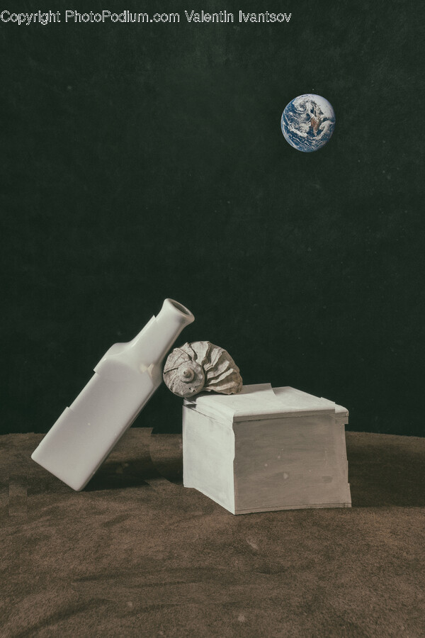 Box, Animal, Sea Life, Silver