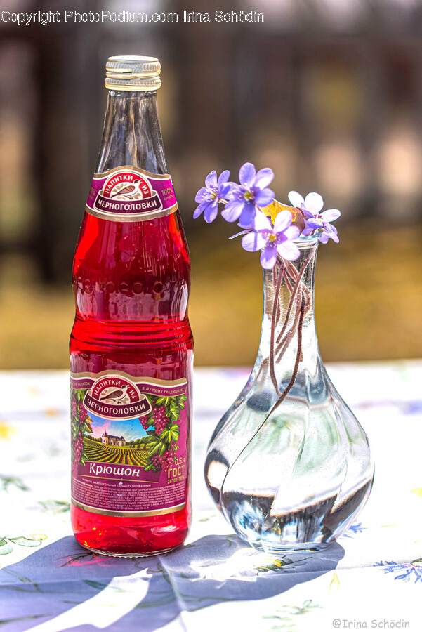 Soda, Beverage, Drink, Plant, Bottle