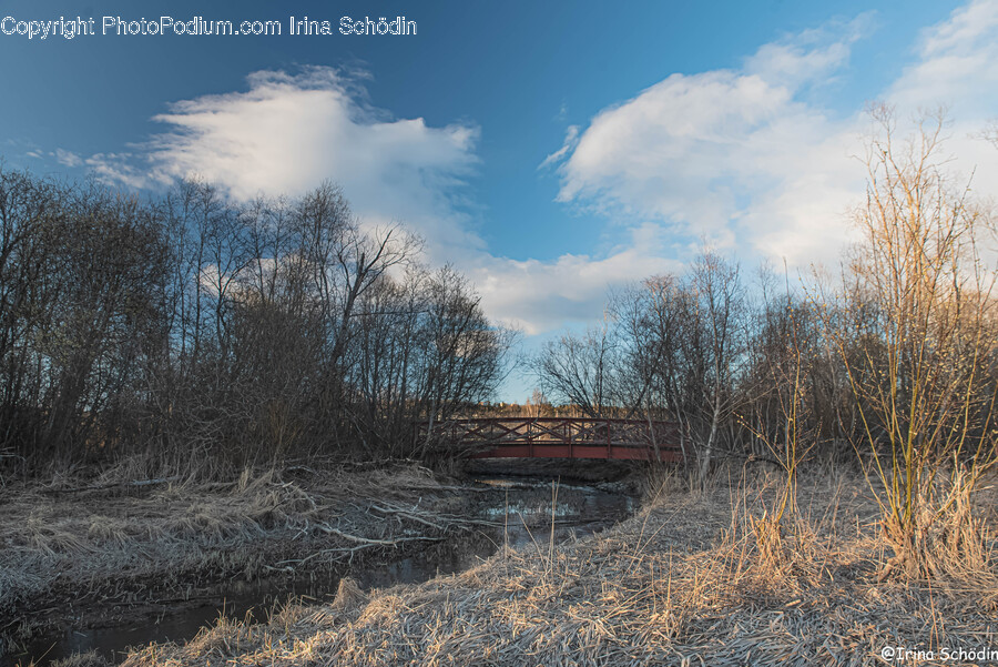Nature, Outdoors, Land, Ice, Water