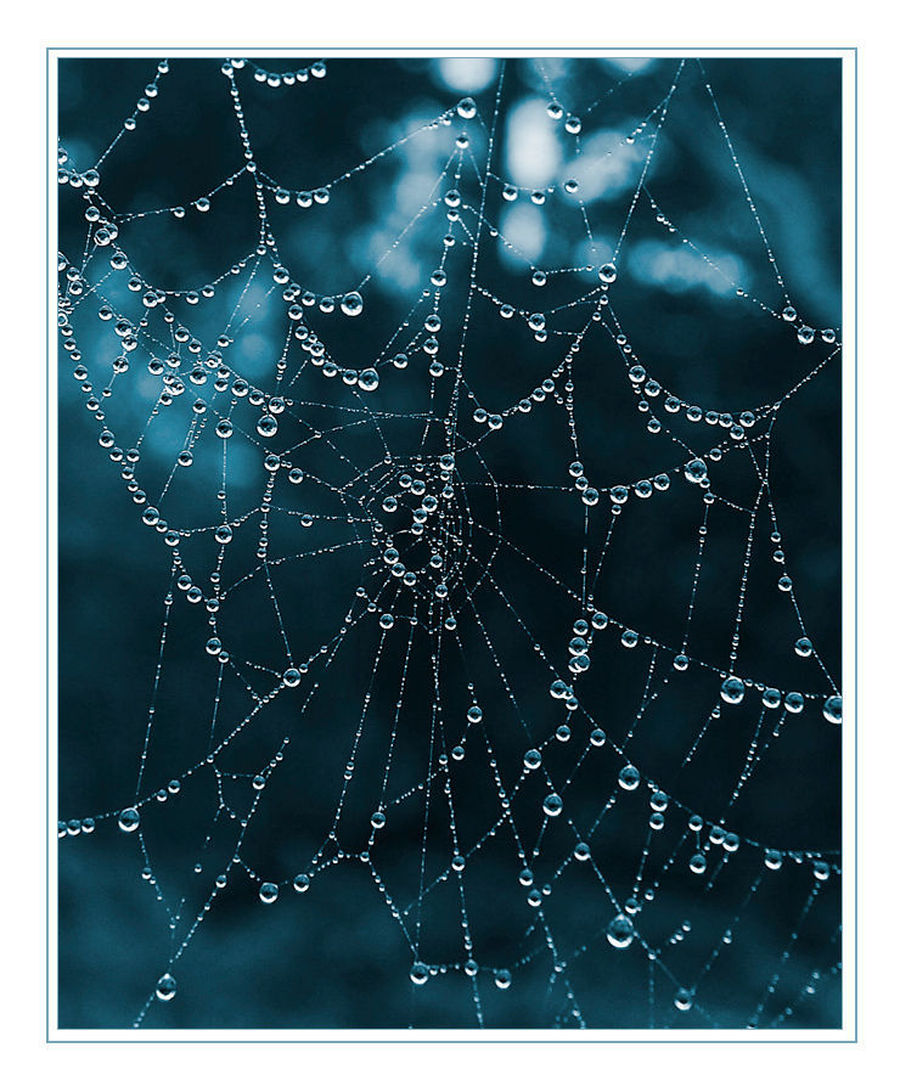 Arachnid, Garden Spider, Insect, Invertebrate, Spider, Art, Modern Art