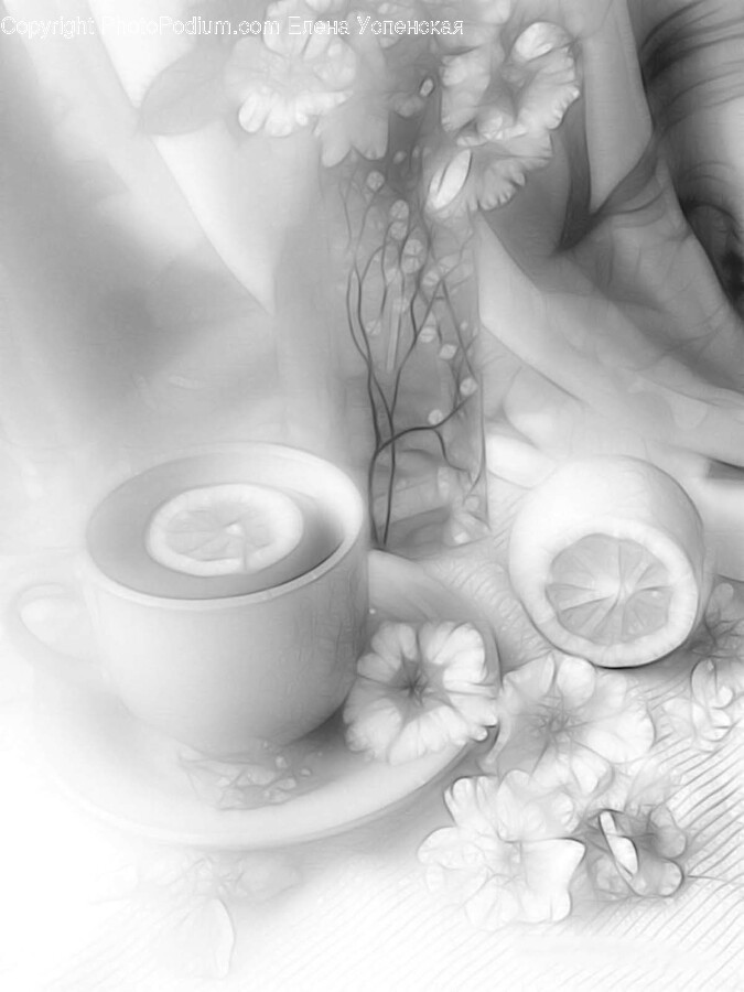 Saucer, Pottery, Coffee Cup, Cup, Porcelain