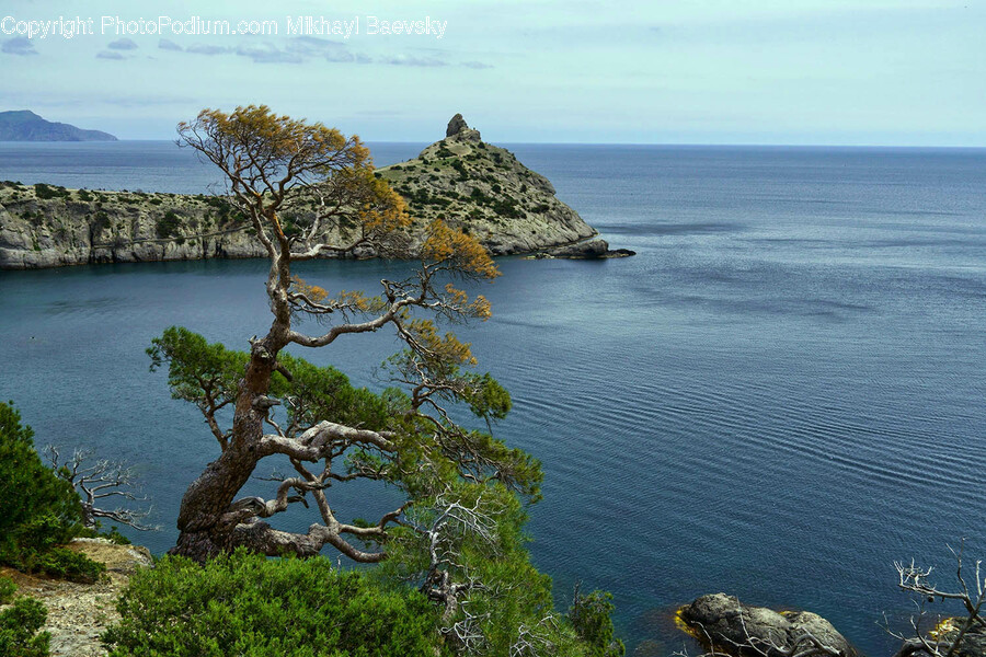 Land, Nature, Outdoors, Water, Shoreline