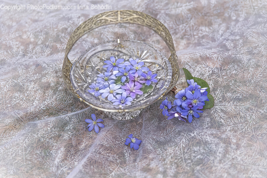 Plant, Accessories, Accessory, Crystal, Jewelry