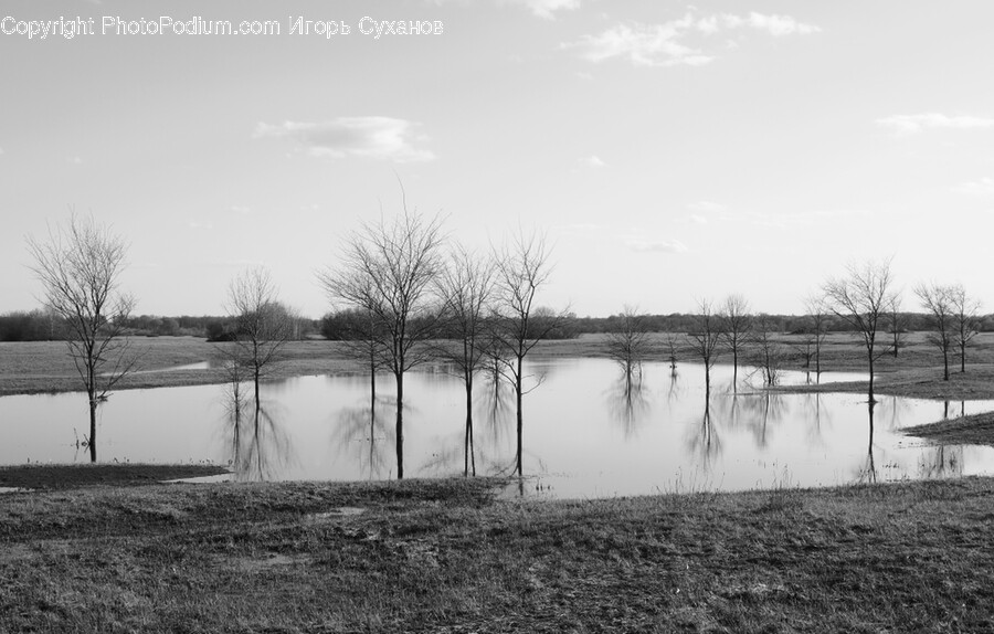 Nature, Water, Land, Outdoors, Pond