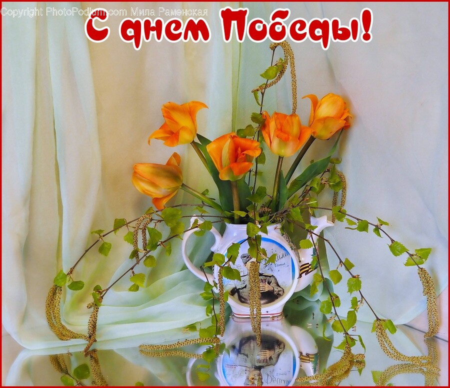 Plant, Flower, Blossom, Flower Arrangement, Flower Bouquet