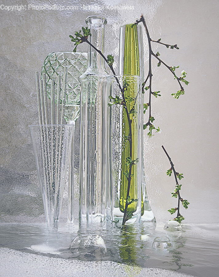 Vase, Jar, Pottery, Potted Plant, Plant