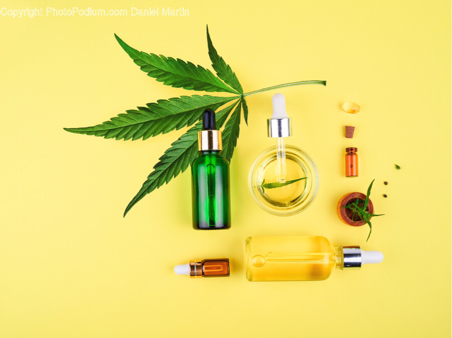 Bottle, Plant, Cosmetics, Green