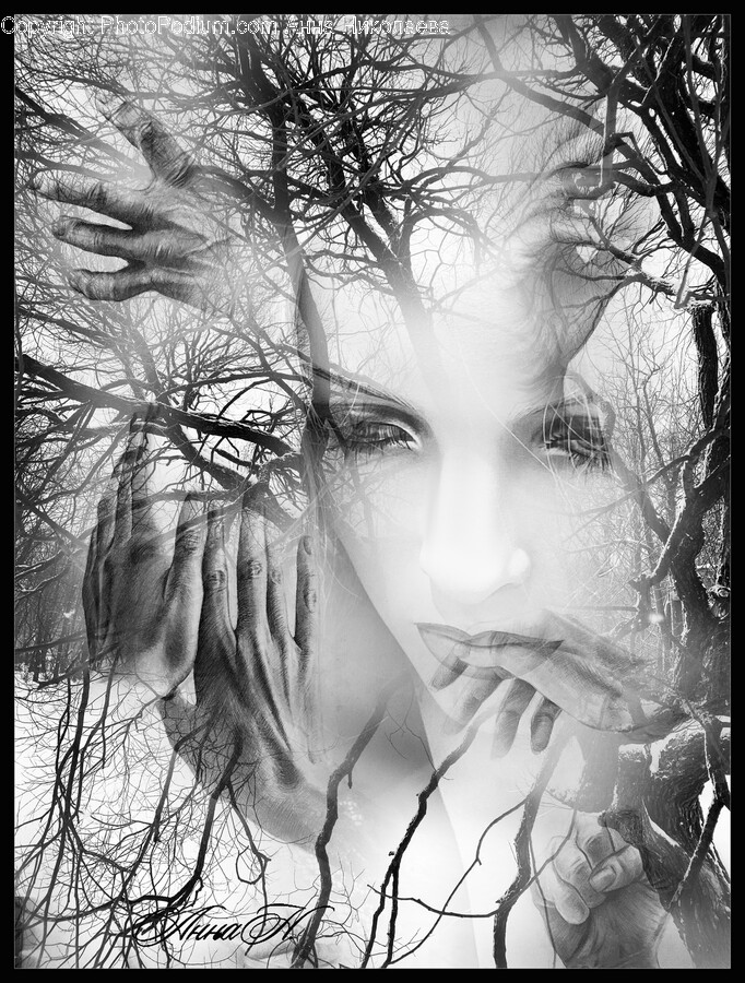 Art, Tree, Plant, Face, Person