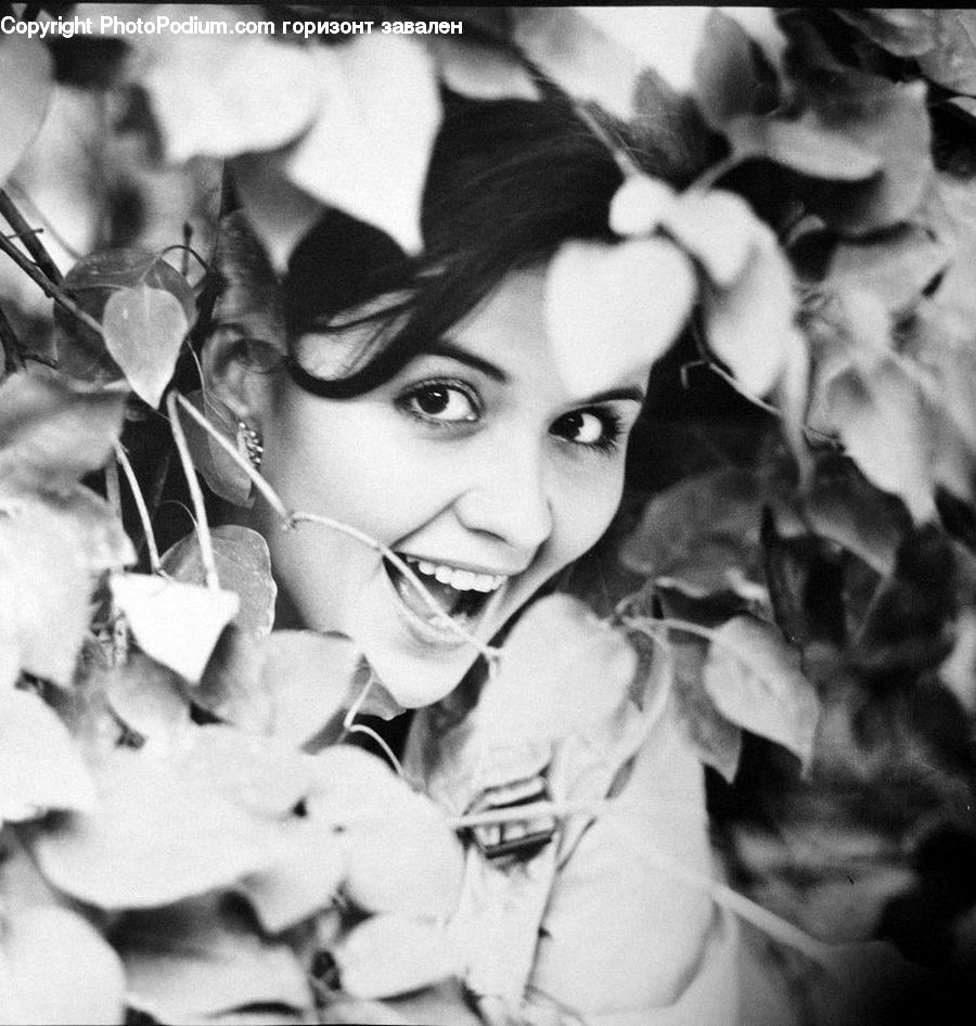 People, Person, Human, Ivy, Plant, Vine, Portrait