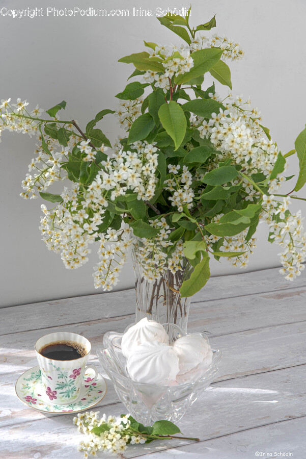 Plant, Flower, Blossom, Pottery, Flower Arrangement