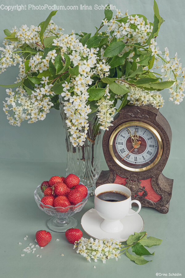 Plant, Pottery, Saucer, Clock Tower, Building
