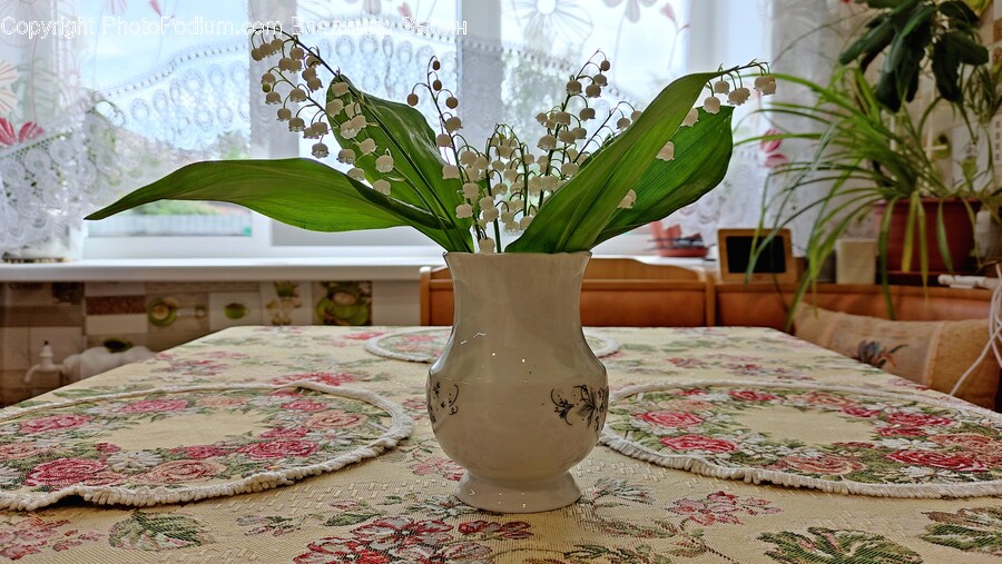 Plant, Flower, Blossom, Flower Arrangement, Ikebana