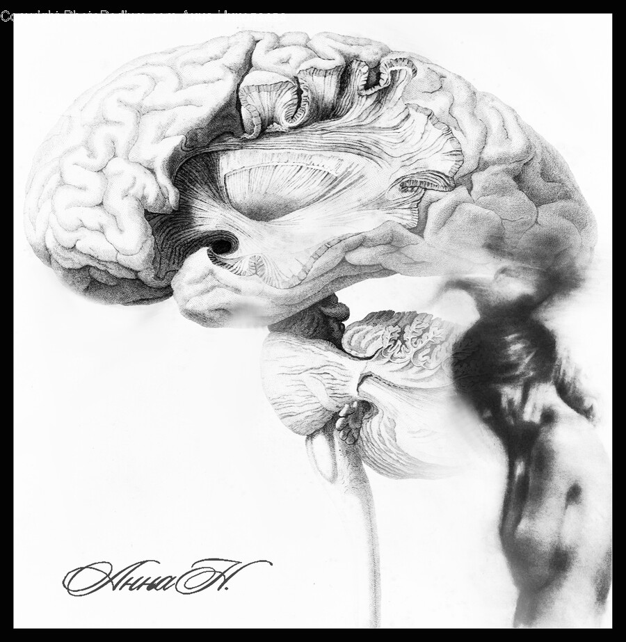 Drawing, Person, Art, Human, Sketch