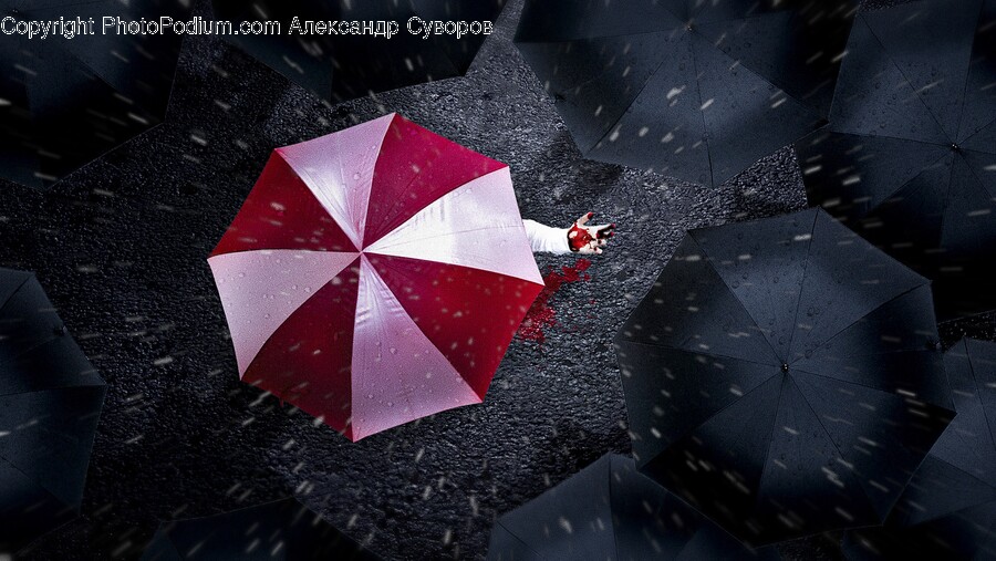 Umbrella, Canopy, Person, Human
