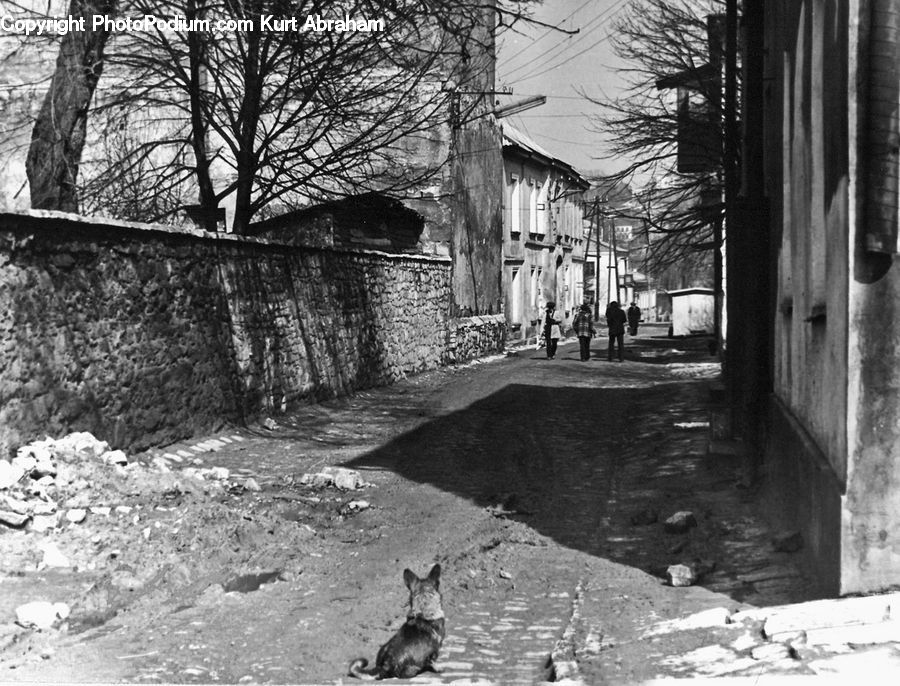 Alley, Alleyway, Road, Street, Town