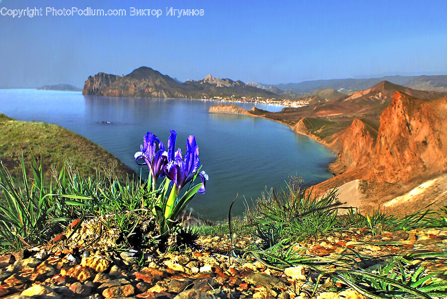 Water, Promontory, Land, Nature, Outdoors