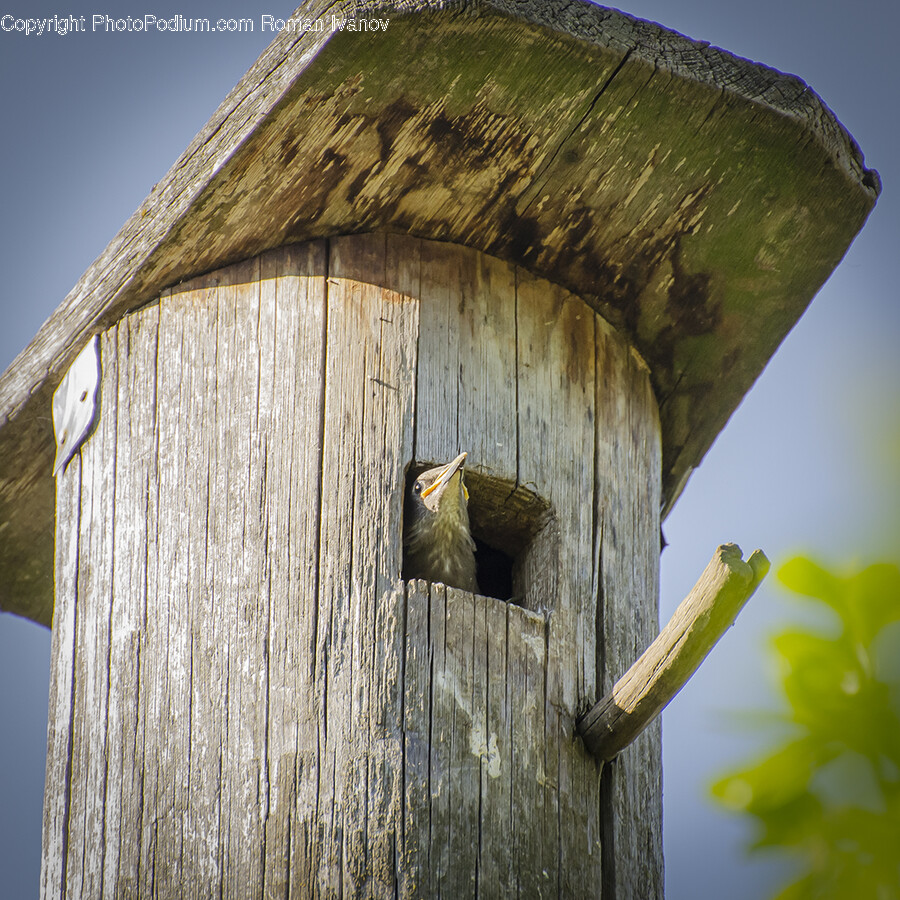 Building, Outdoors, Nature, Housing, Hole