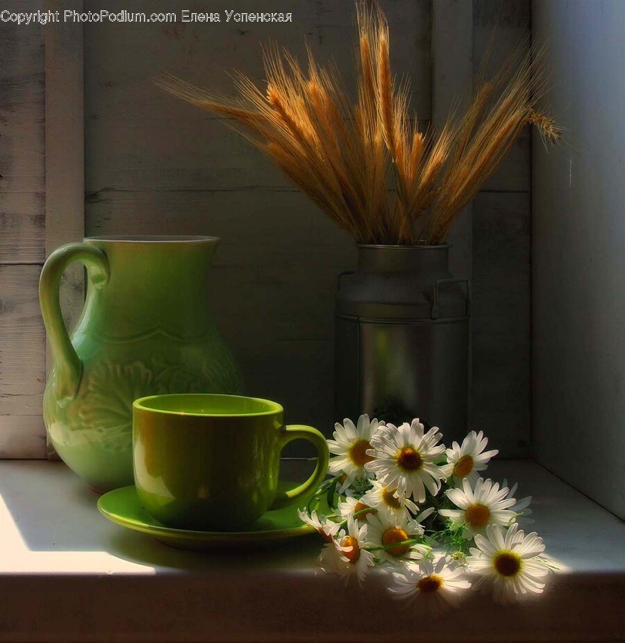 Coffee Cup, Cup, Plant, Flower, Blossom