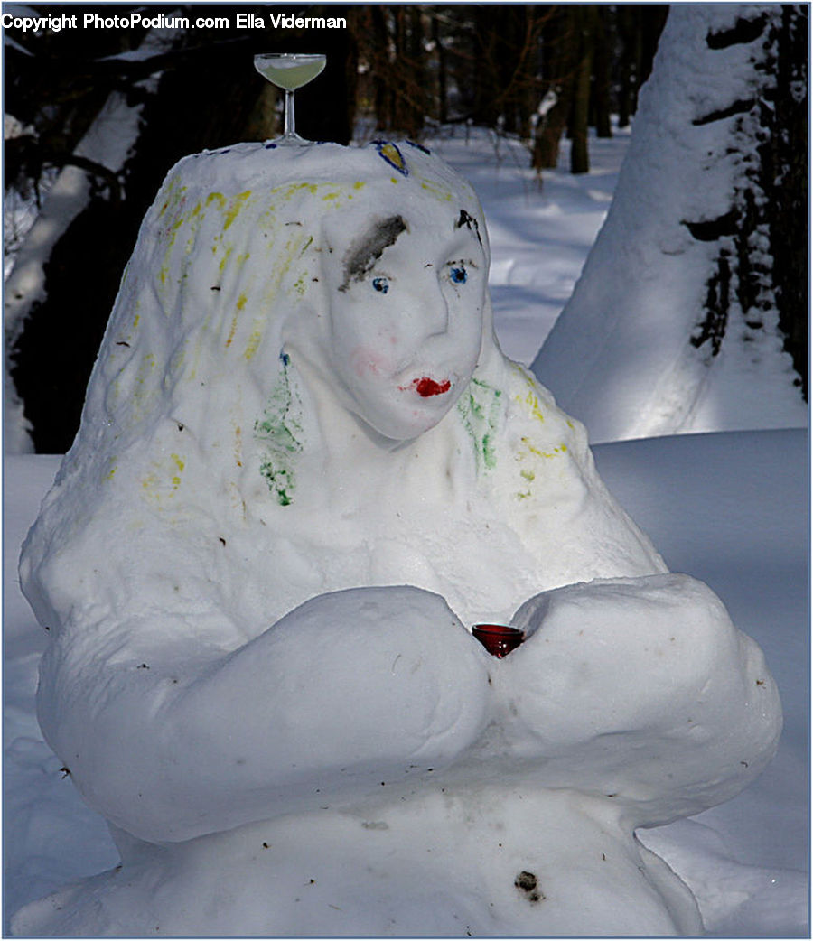 Ice, Snow, Snowman, Winter, Birch, Tree, Wood