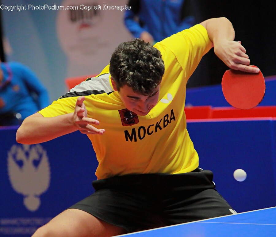 Person, Human, Ping Pong, Sport, Sports