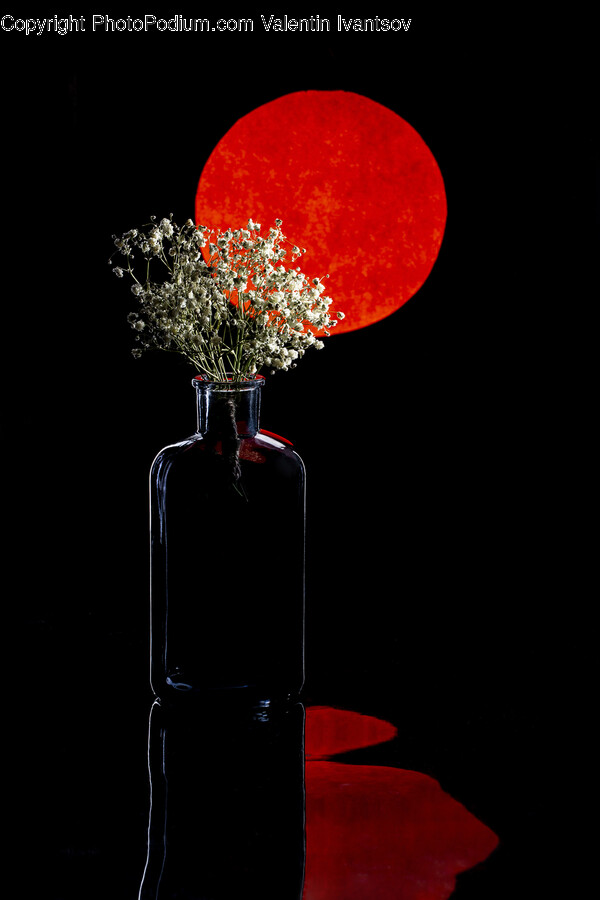 Plant, Flower, Blossom, Flower Arrangement, Flower Bouquet