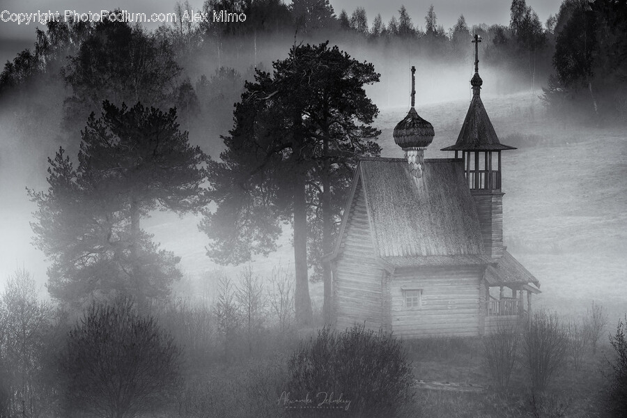 Nature, Weather, Outdoors, Fog, Mist
