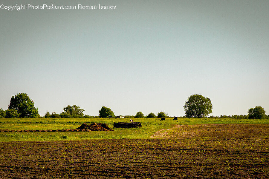Field, Grassland, Outdoors, Nature, Farm