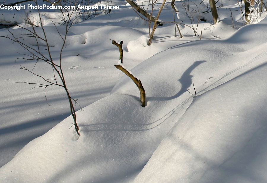 Ice, Outdoors, Snow, Piste, Skiing, Slide, Sport