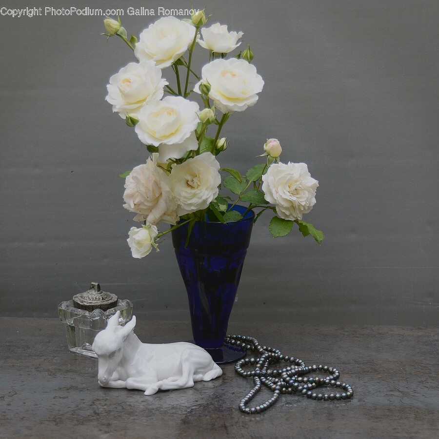 Plant, Flower, Blossom, Flower Bouquet, Flower Arrangement