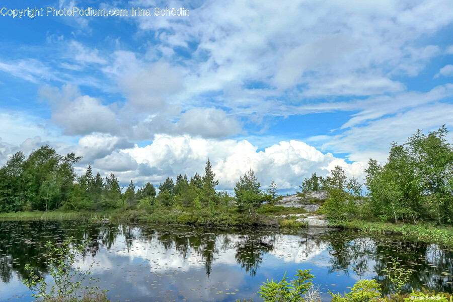 Land, Nature, Outdoors, Water, Tree