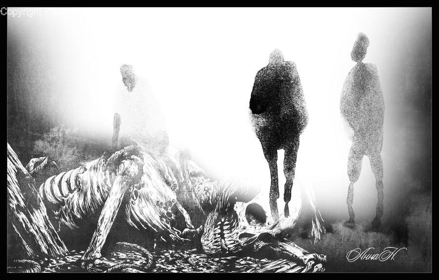 Clothing, Apparel, Horse, Animal, Mammal