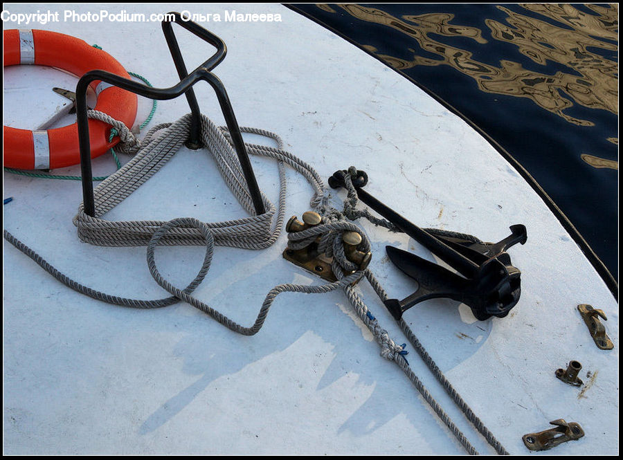Leash, Strap, Glasses, Goggles