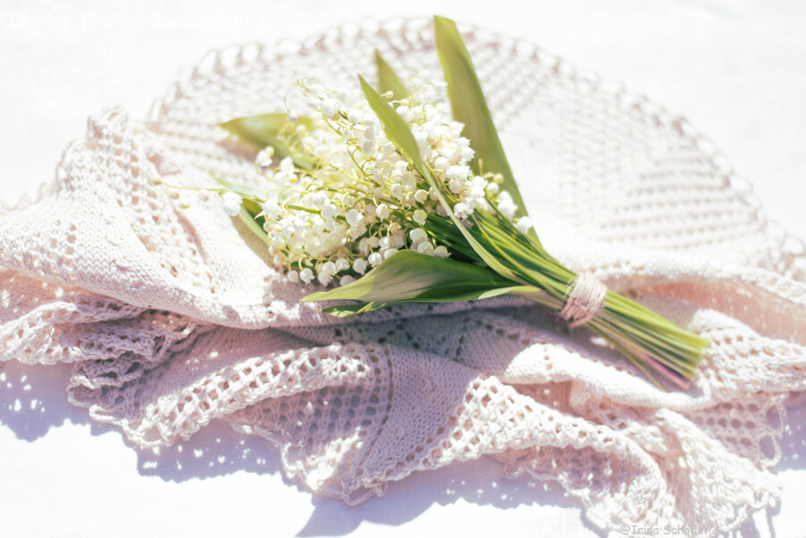 Plant, Flower Bouquet, Flower, Flower Arrangement, Blossom