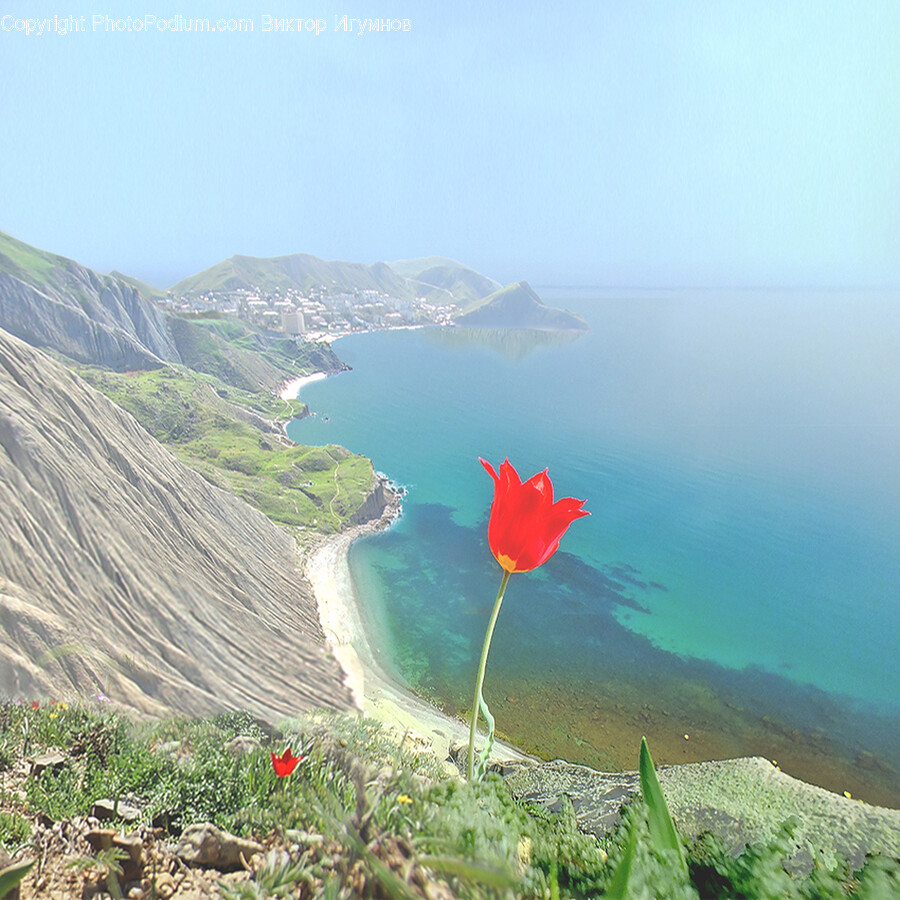 Land, Nature, Outdoors, Sea, Ocean