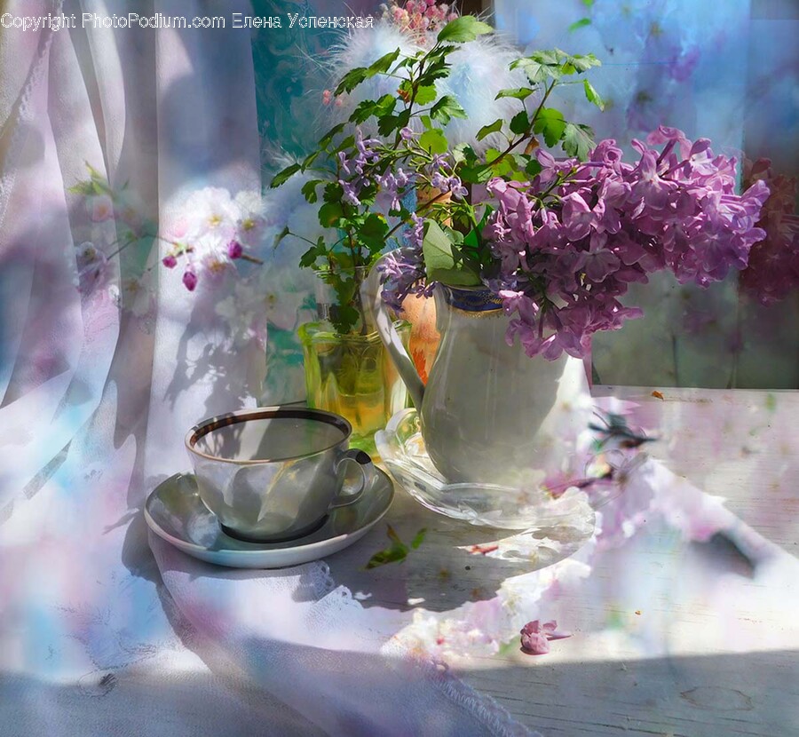 Plant, Pottery, Saucer, Flower, Blossom