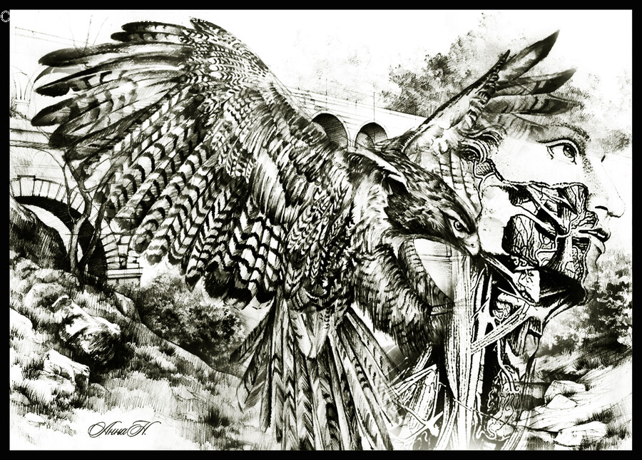Eagle, Animal, Bird, Bald Eagle, Art