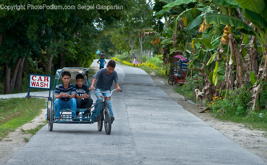 Person, Human, Bicycle, Bike, Vehicle