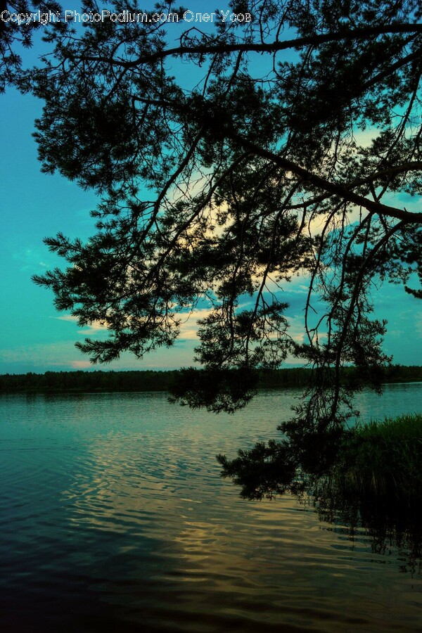 Water, Nature, Outdoors, Lake, Landscape