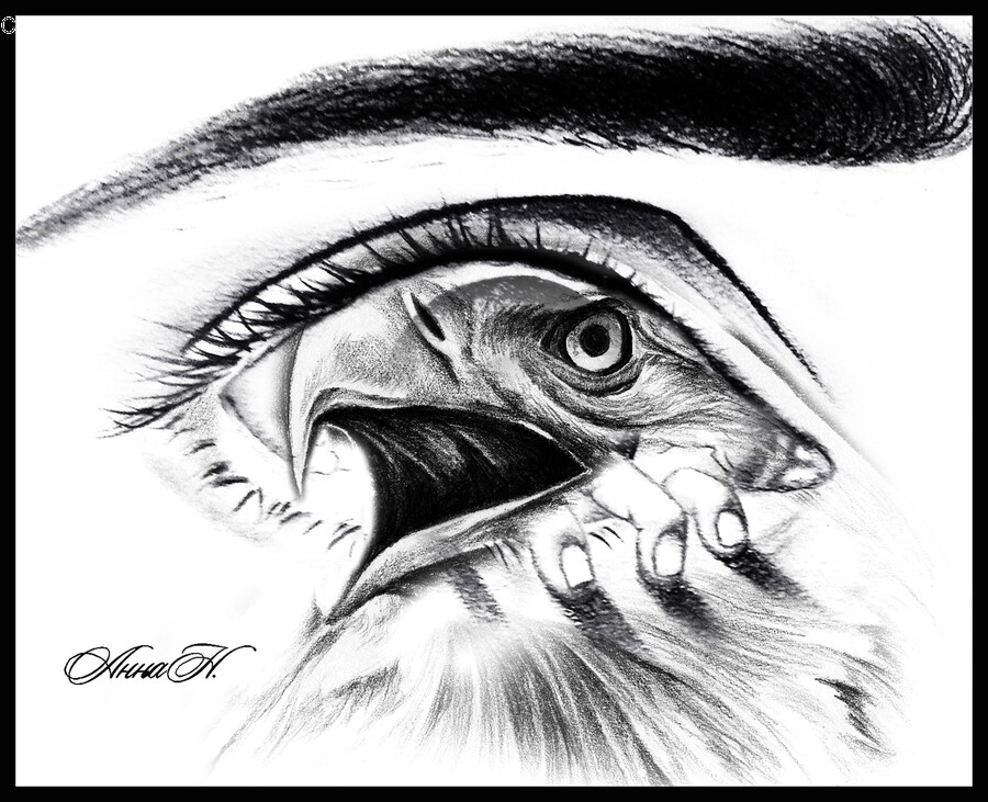 Drawing, Art, Sketch, Bird, Animal