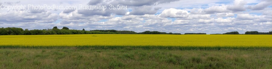 Field, Nature, Grassland, Outdoors, Countryside
