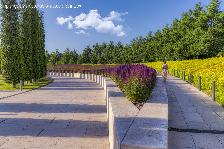 Person, Human, Path, Plant, Outdoors