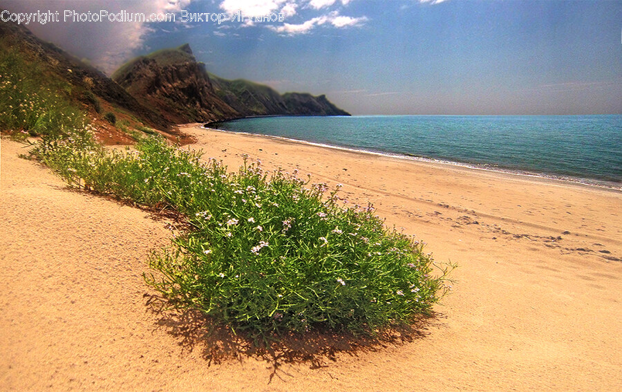 Shoreline, Water, Sea, Ocean, Nature