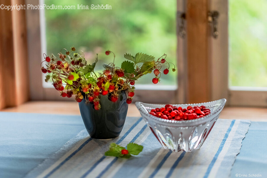 Plant, Food, Potted Plant, Jar, Pottery