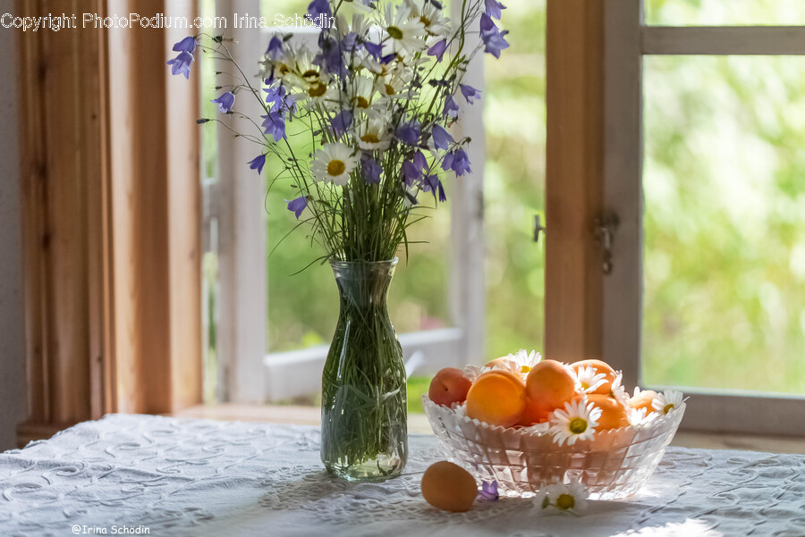 Plant, Vase, Pottery, Jar, Flower