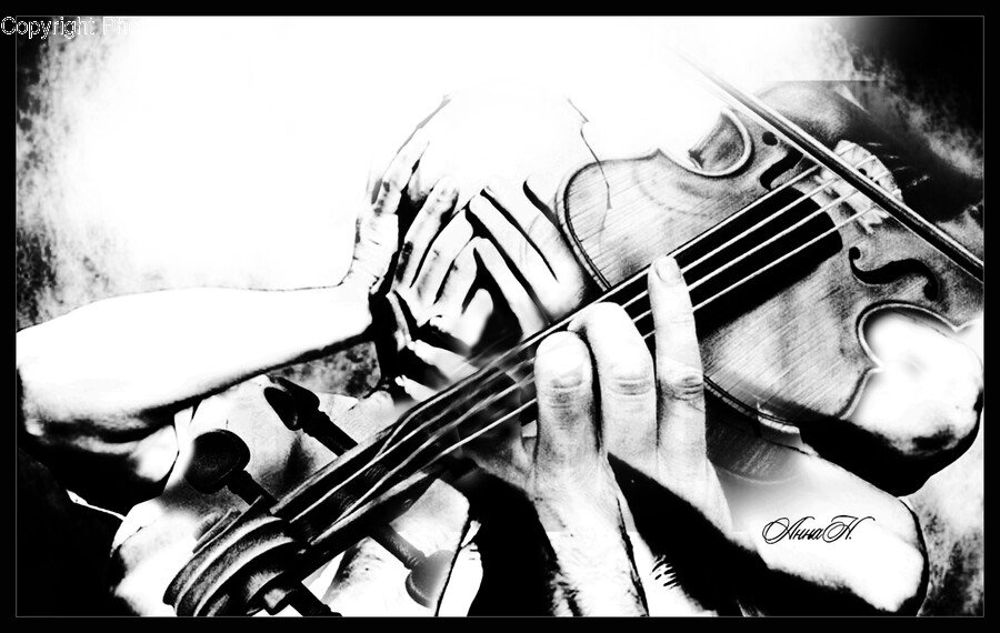 Musician, Musical Instrument, Person, Human, Leisure Activities
