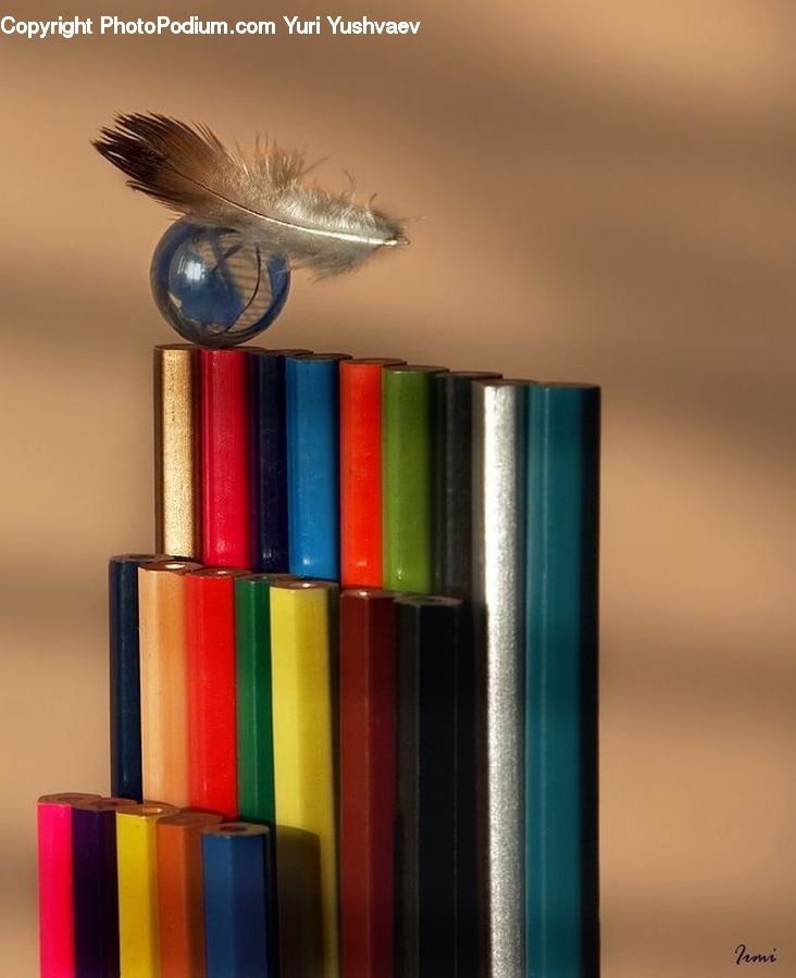 Book, Bookcase, Furniture, Shelf, Asilidae, Insect, Emblem