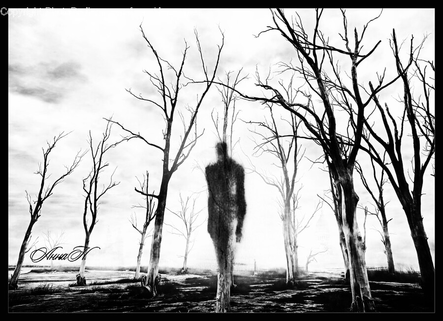 Tree, Plant, Silhouette, Art, Standing