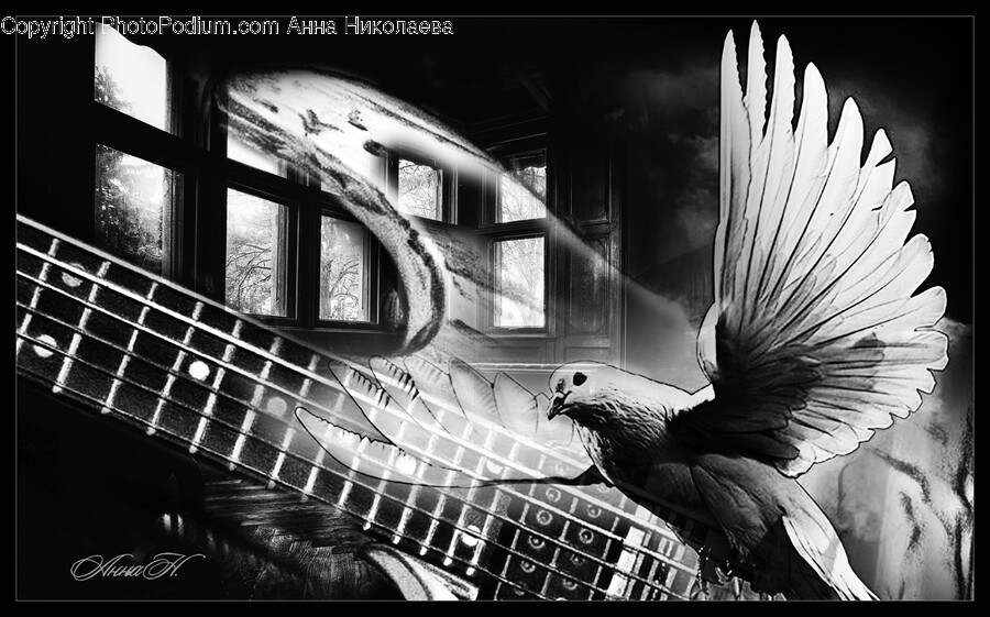 Bird, Animal, Silhouette, Vulture, Art