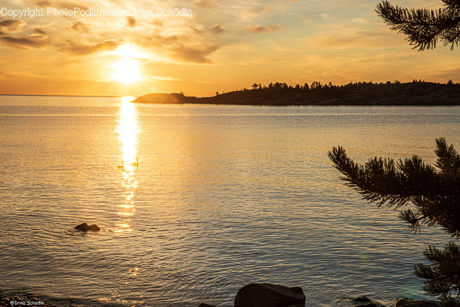 Outdoors, Nature, Sunlight, Water, Flare